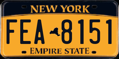 NY license plate FEA8151
