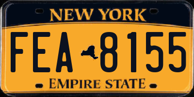 NY license plate FEA8155