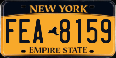 NY license plate FEA8159
