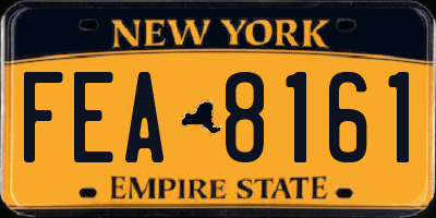 NY license plate FEA8161