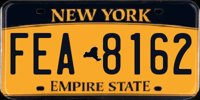 NY license plate FEA8162
