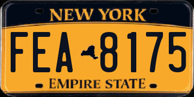 NY license plate FEA8175