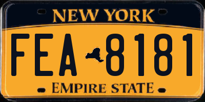 NY license plate FEA8181