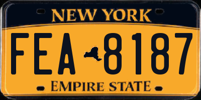 NY license plate FEA8187