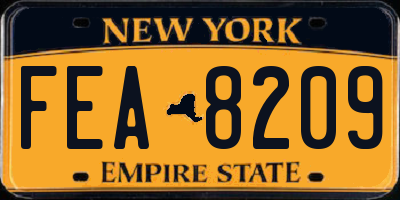 NY license plate FEA8209