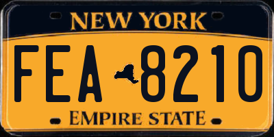 NY license plate FEA8210