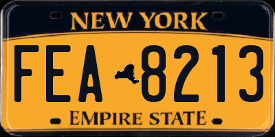 NY license plate FEA8213