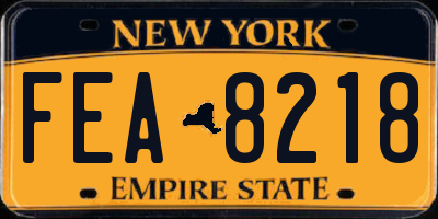 NY license plate FEA8218