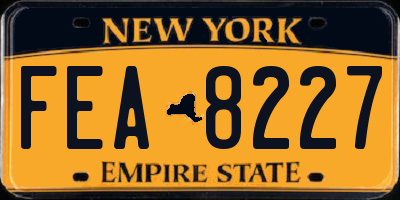 NY license plate FEA8227