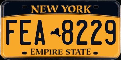 NY license plate FEA8229