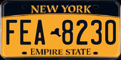 NY license plate FEA8230