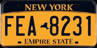 NY license plate FEA8231