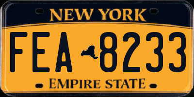 NY license plate FEA8233