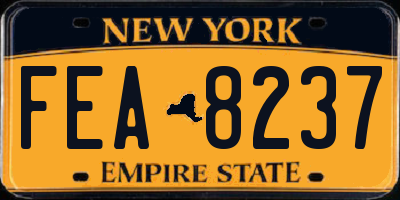 NY license plate FEA8237