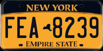 NY license plate FEA8239