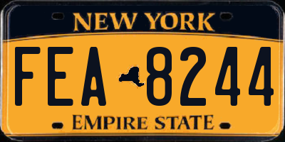 NY license plate FEA8244