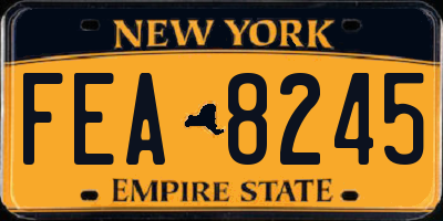 NY license plate FEA8245