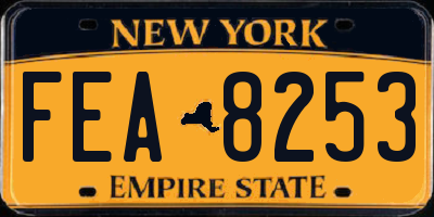 NY license plate FEA8253