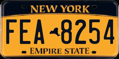 NY license plate FEA8254
