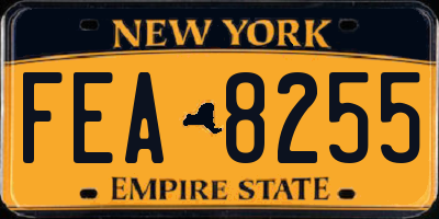 NY license plate FEA8255