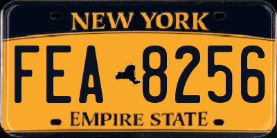 NY license plate FEA8256