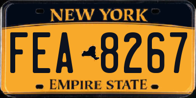 NY license plate FEA8267