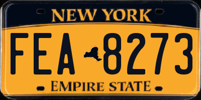 NY license plate FEA8273