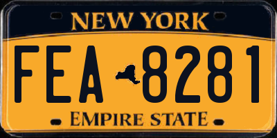 NY license plate FEA8281
