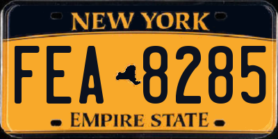 NY license plate FEA8285