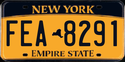 NY license plate FEA8291