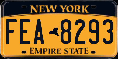 NY license plate FEA8293
