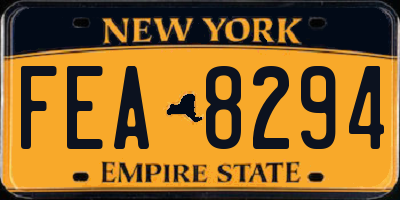 NY license plate FEA8294