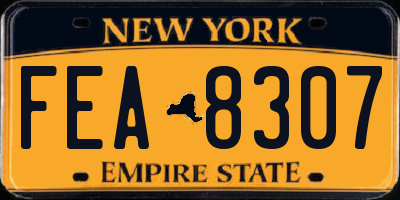 NY license plate FEA8307