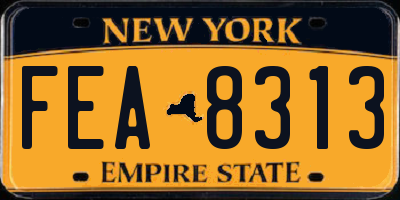 NY license plate FEA8313