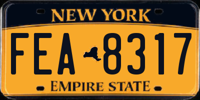 NY license plate FEA8317
