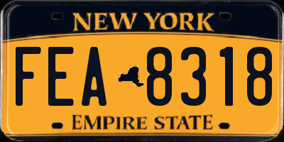 NY license plate FEA8318