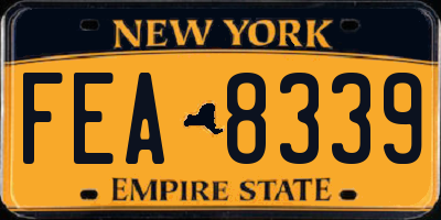 NY license plate FEA8339