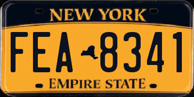 NY license plate FEA8341