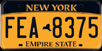 NY license plate FEA8375