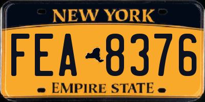 NY license plate FEA8376