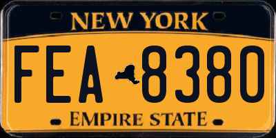 NY license plate FEA8380