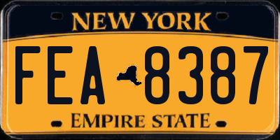 NY license plate FEA8387