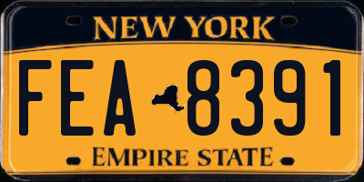 NY license plate FEA8391