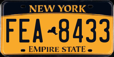 NY license plate FEA8433