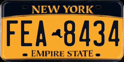 NY license plate FEA8434