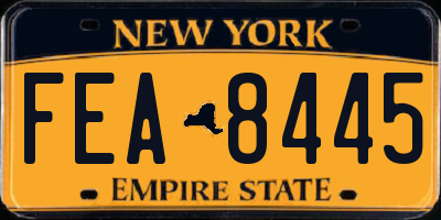 NY license plate FEA8445