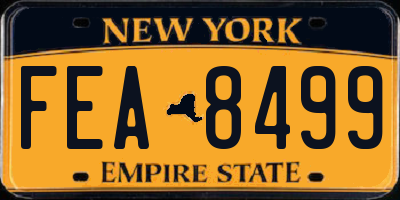 NY license plate FEA8499