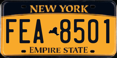 NY license plate FEA8501