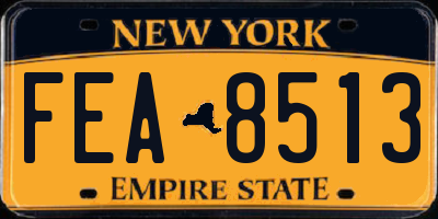 NY license plate FEA8513