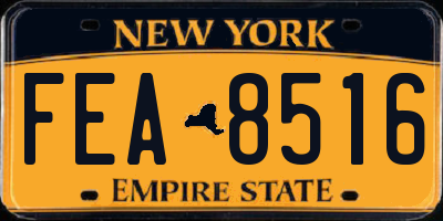 NY license plate FEA8516